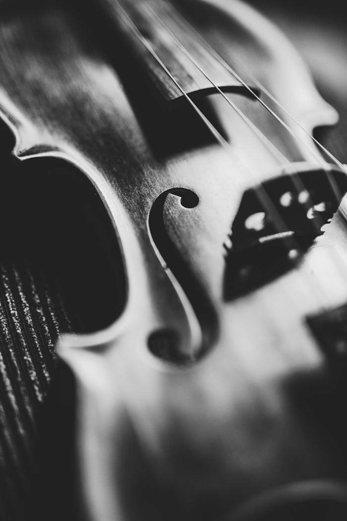 who-we-are Elegantly detailed black and white close-up of a violin in monochrome tones.
